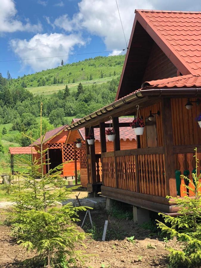 Apartament Шервуд Myta Zewnętrze zdjęcie